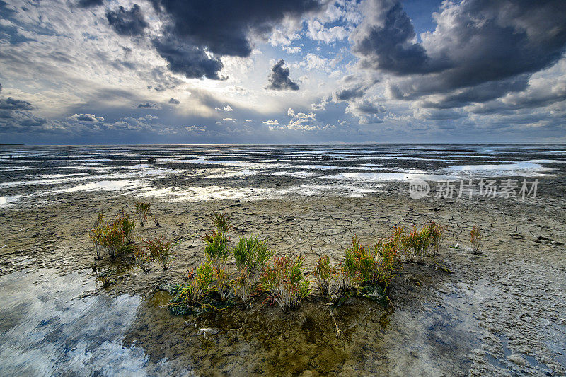 在荷兰北部的瓦登海自然保护区“de Wadden”，有潮汐沙滩的空旷景观